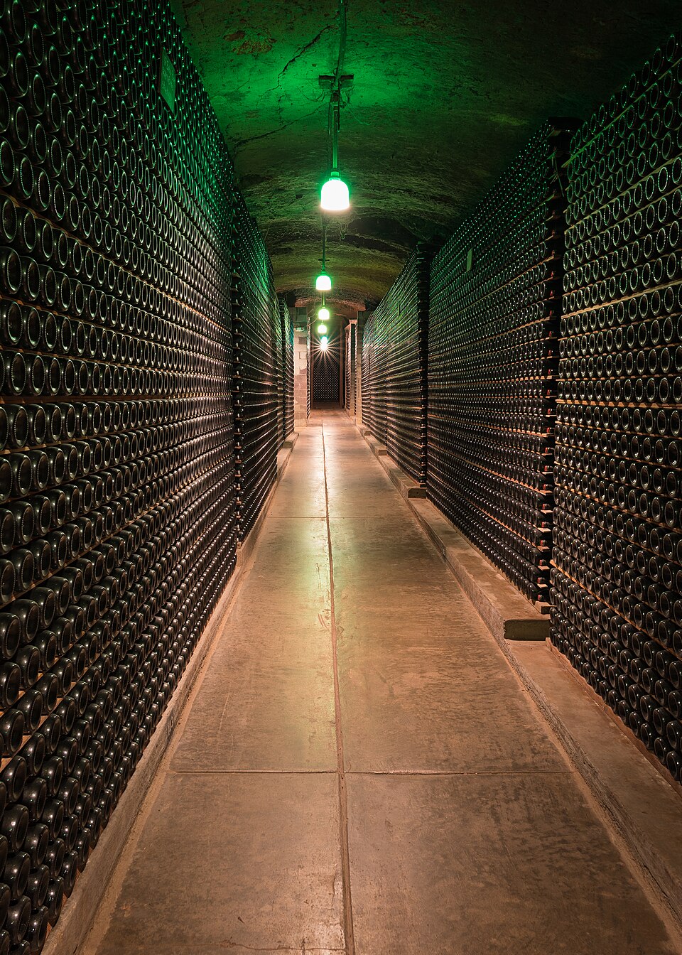 Real photograph of vaulted wine cellar corridor